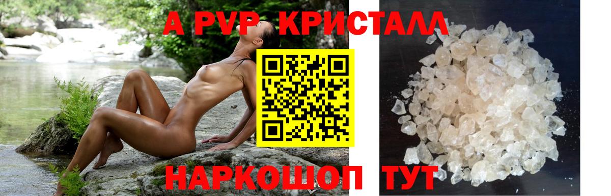 Альфа ПВП СК Кириши