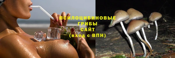 дживик Алексеевка