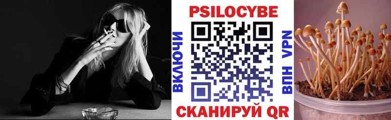 Галлюциногенные грибы прущие грибы  Кириши 