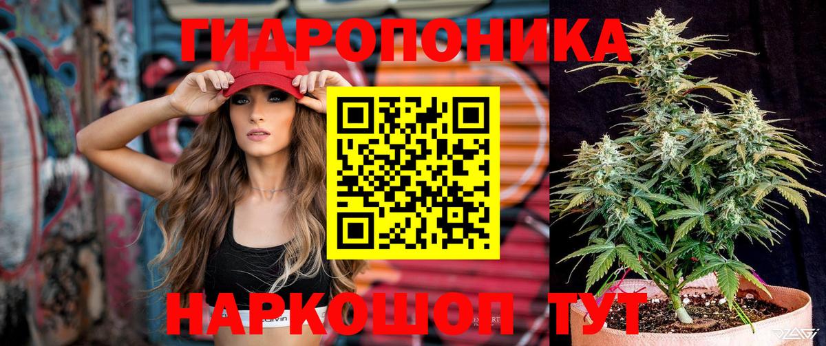 Бошки Шишки марихуана Кириши